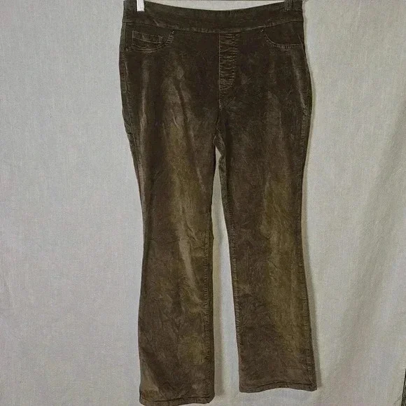 Diane Gilman DG2 Brown Pullon Velvet Wide Leg Pants Sz PM - Picture 2 of 11